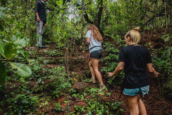 Nature_Trail_Chorao_Island_1.jpg